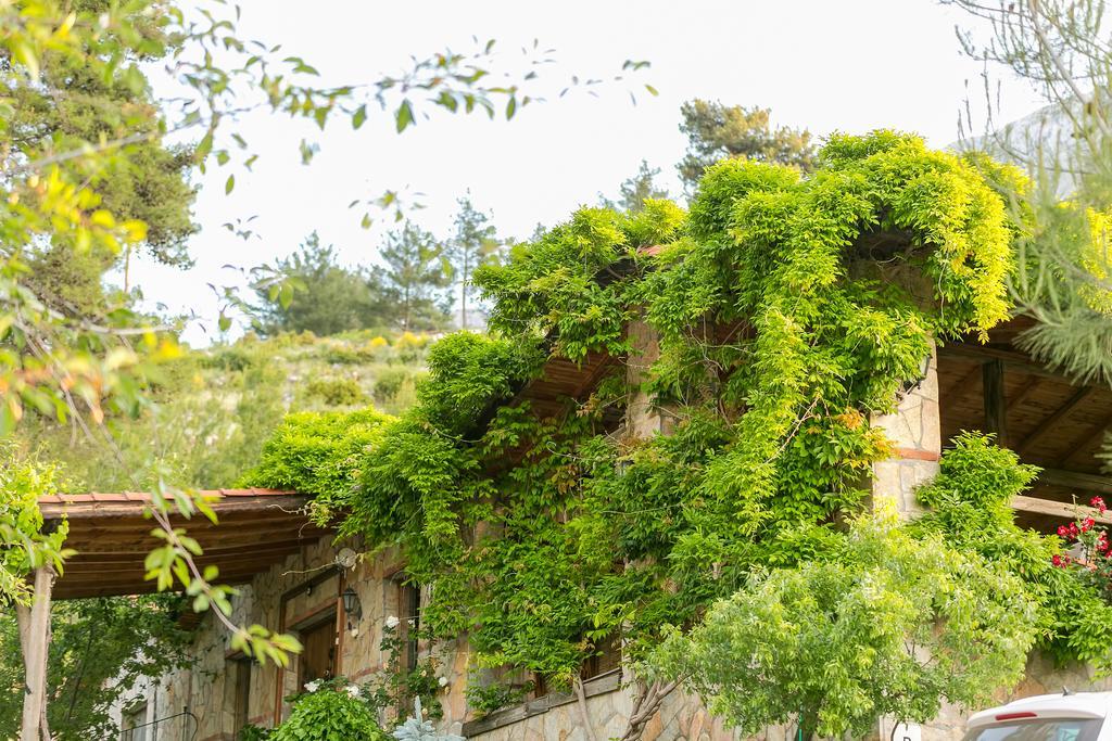 Olympos Mountain Lodge Beycik ภายนอก รูปภาพ
