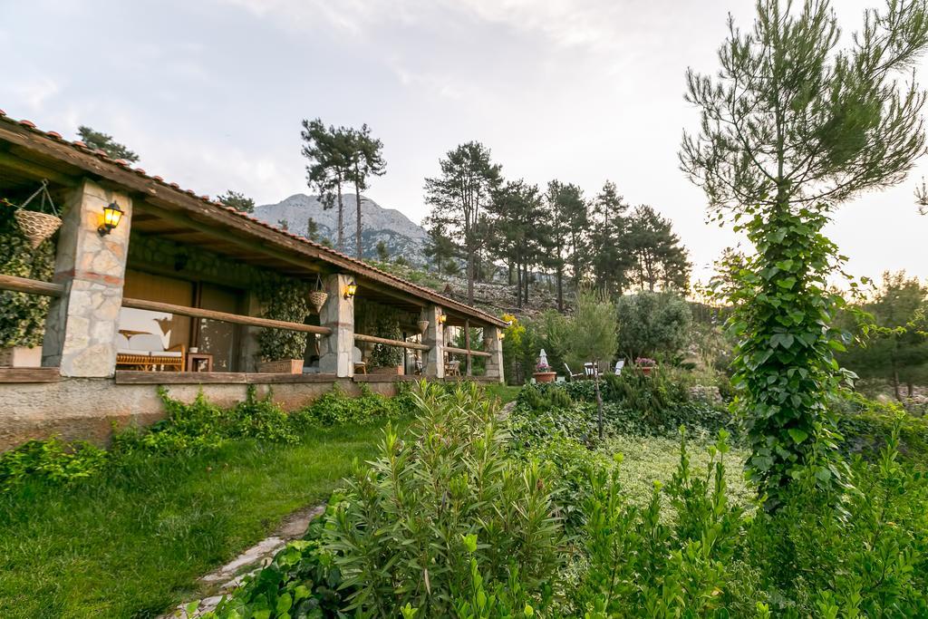 Olympos Mountain Lodge Beycik ภายนอก รูปภาพ